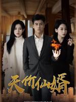 Chàng Rể Thiên Kim