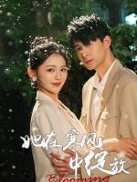 Cô Ấy Nở Rộ Trong Gió Lạnh