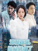 Đừng Làm Tổn Thương Em, Tổng Giám Đốc Lục