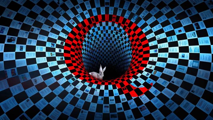 Q: Đi Vào Cơn Bão