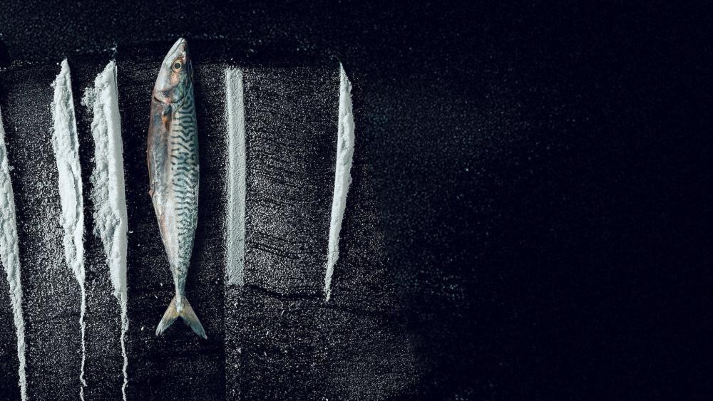 Sống Triều Đổi Vận: Câu Chuyện Siêu  Thực Tế Rabo de Peixe