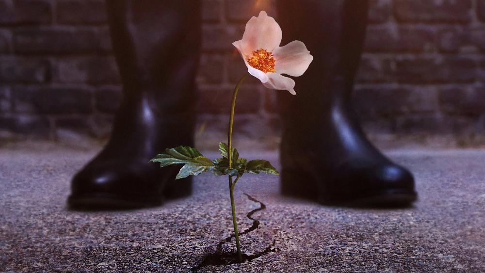 Thế Giới Của Phát Xít